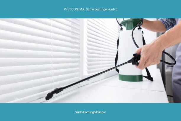 PEST CONTROL Santo Domingo Pueblo